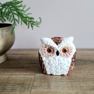 Vintage ceramic owl napkin or letter holder.